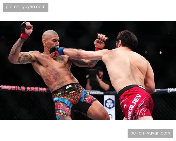 UFC 301主赛前瞻：普罗哈兹卡与安卡拉耶夫二番战，轻重量级临时冠军悬念再起