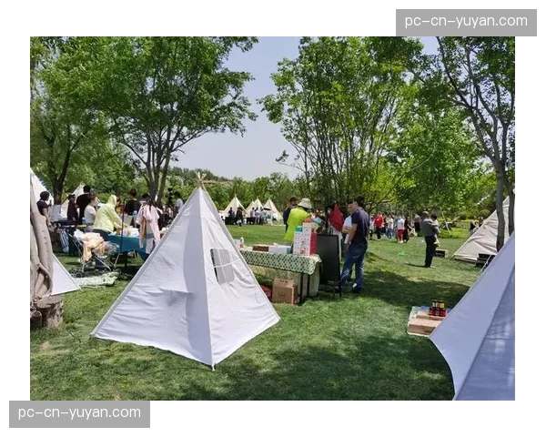 比赛花絮：弗罗西诺内主场草坪洒水系统故障，导致一边路区域积水影响传中